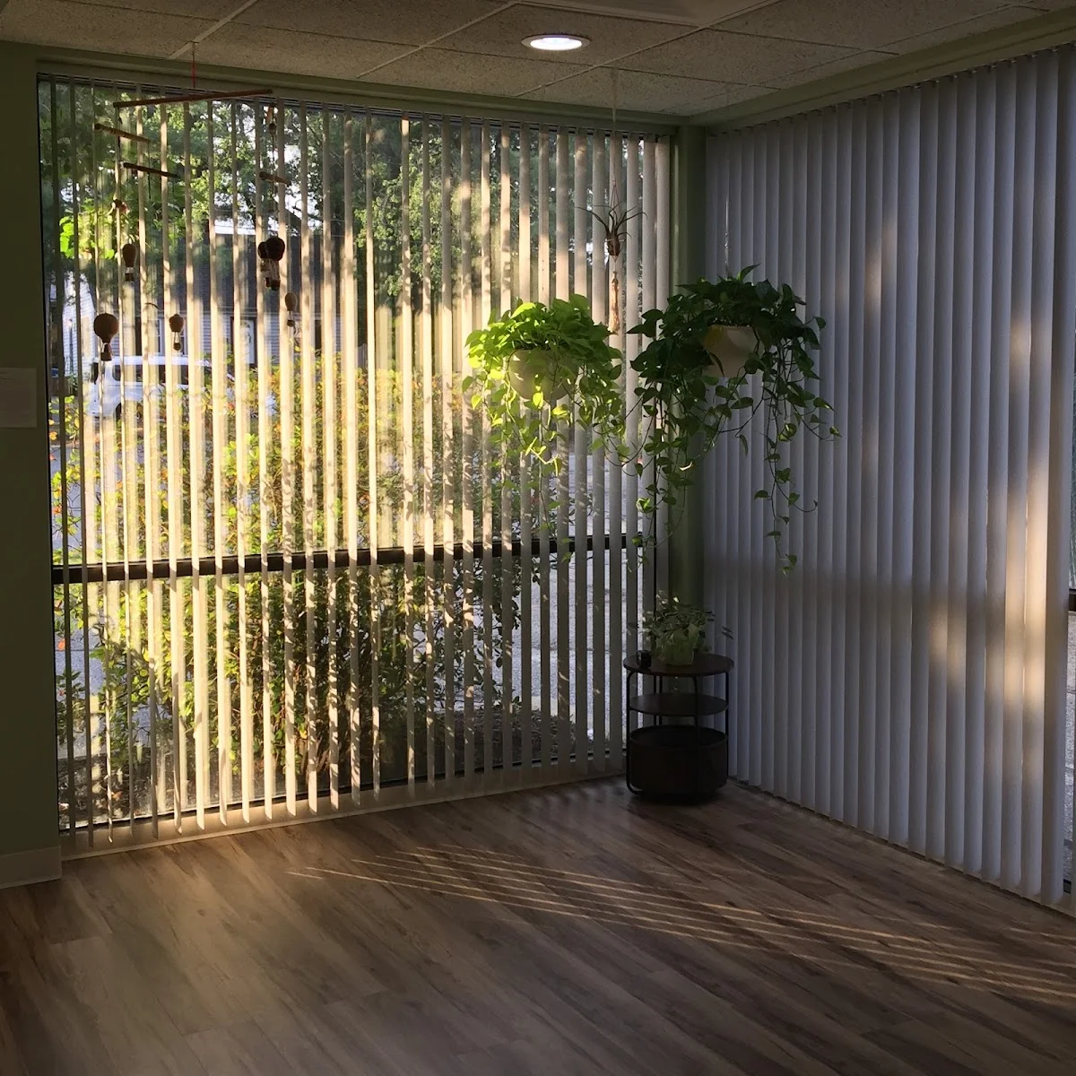 Rosemont Wellness Center - Photo 5