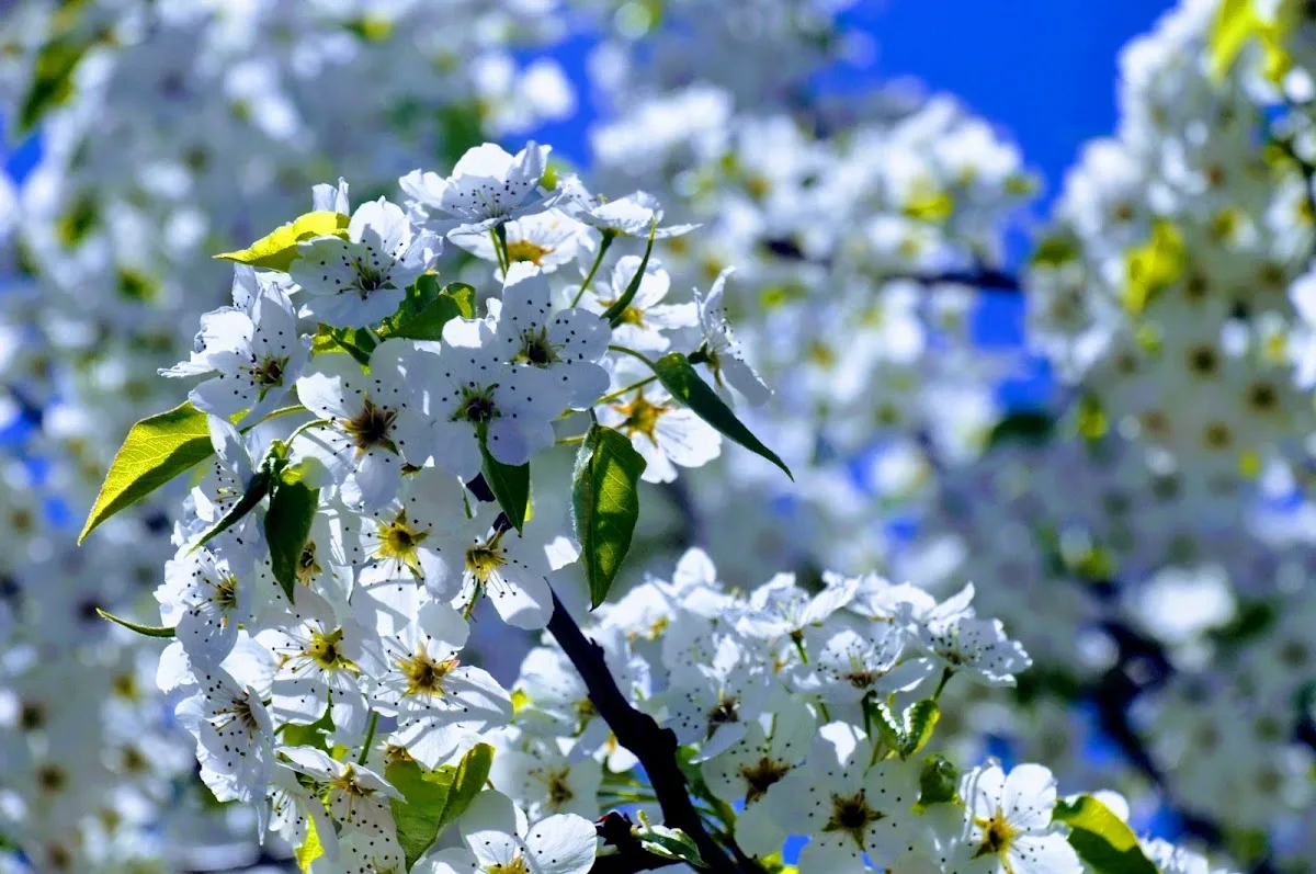 MaineHealth Behavioral Health - Lancaster St - Portland - Photo 3