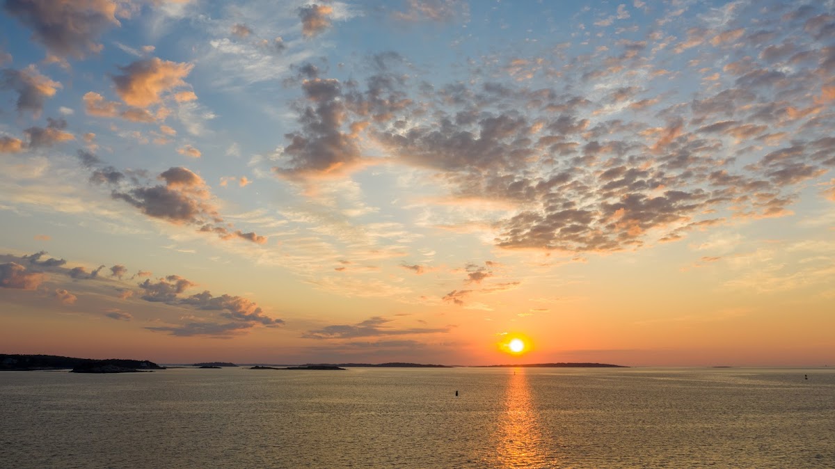 Freedom Place at 66 State - Photo 6