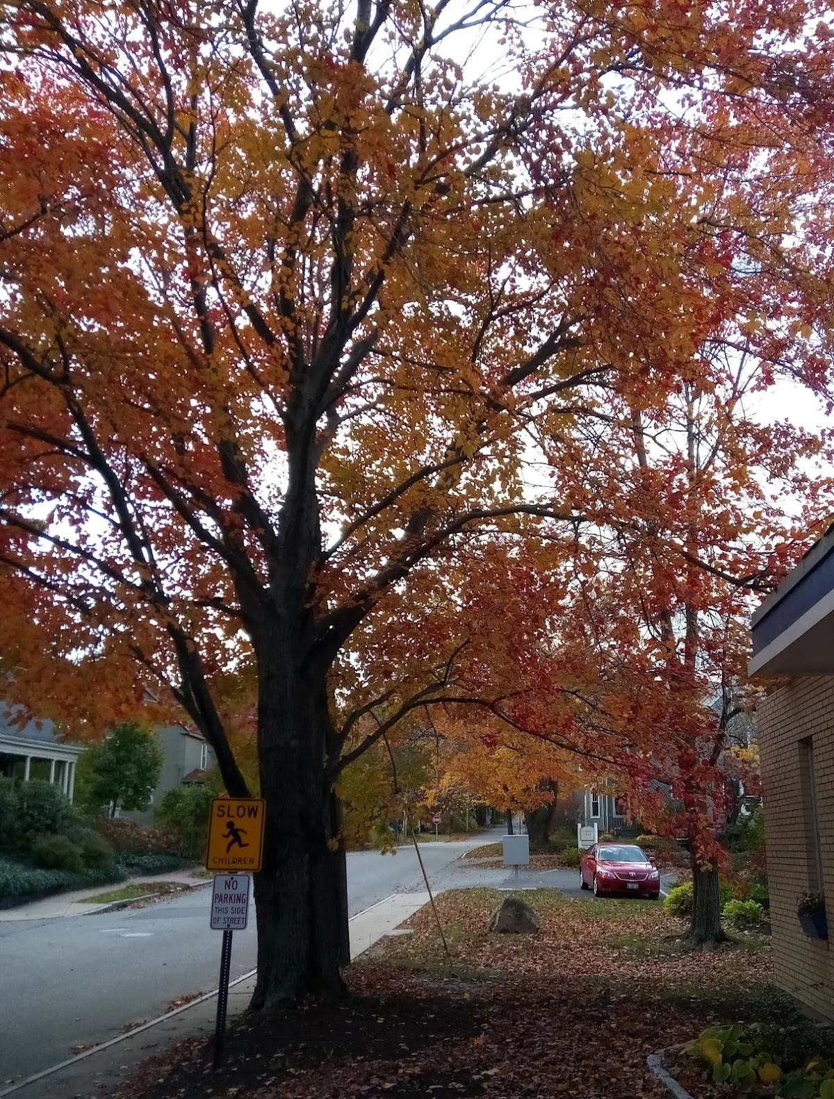 Sahara Club - Photo 3