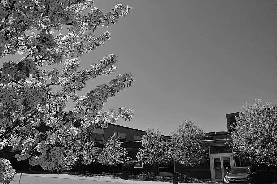 MaineHealth Behavioral Health - Lancaster St - Portland - Photo 6