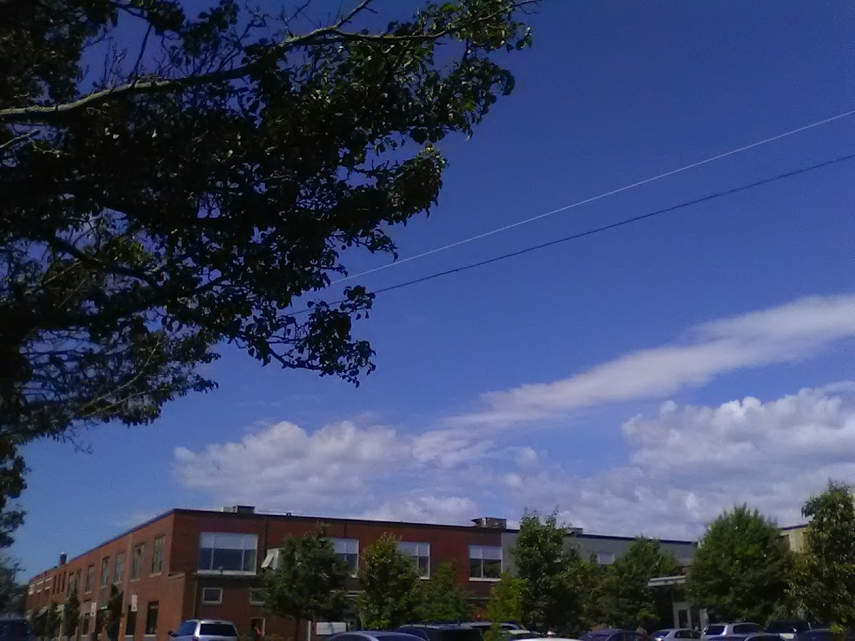 MaineHealth Behavioral Health - Lancaster St - Portland - Photo 3
