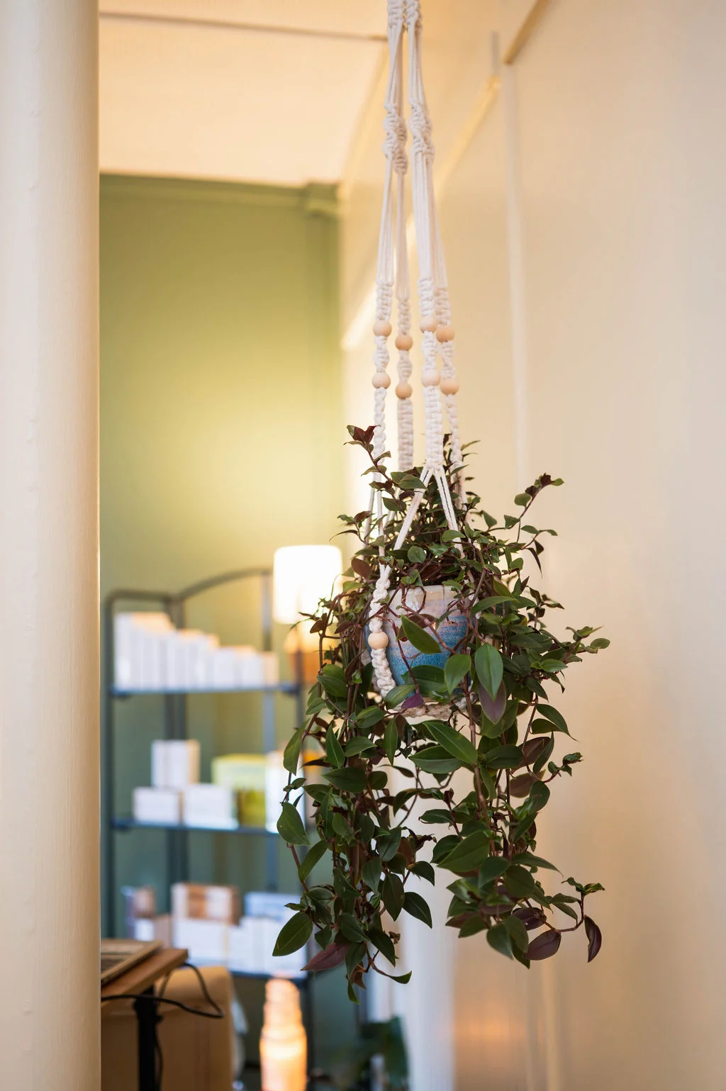 Foster Serenity - Photo 2